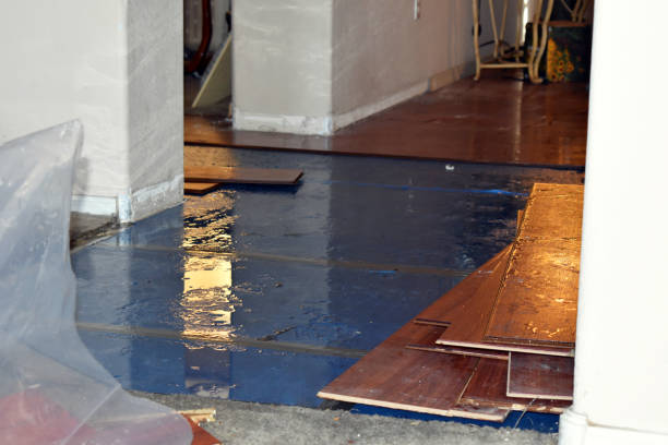 Professional Burst Pipe Cleanup technician working in Farwell, MI